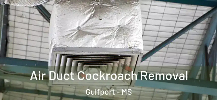 Air Duct Cockroach Removal Gulfport - MS