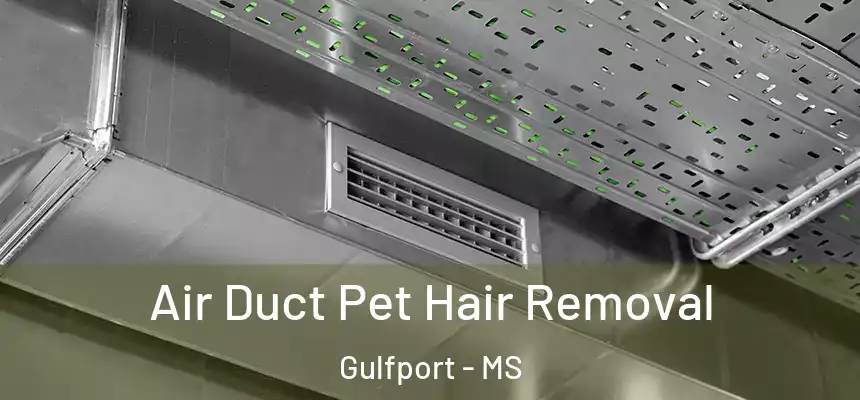 Air Duct Pet Hair Removal Gulfport - MS