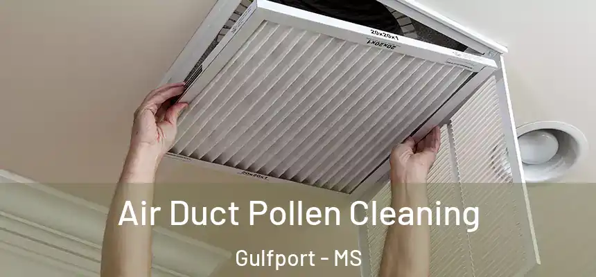 Air Duct Pollen Cleaning Gulfport - MS