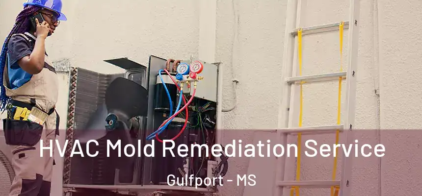 HVAC Mold Remediation Service Gulfport - MS