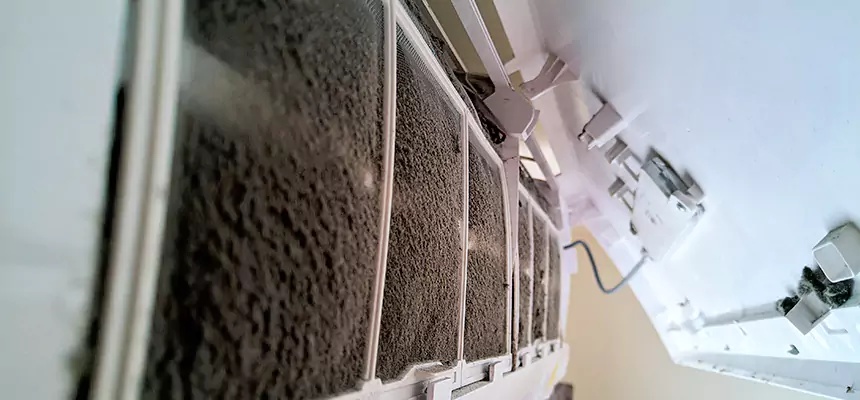 Preventive Air Duct Bacteria Removal in Gulfport