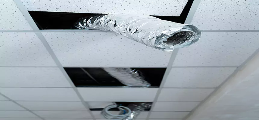 Our Air Duct Pet Hair Removal Services in Gulfport, MS