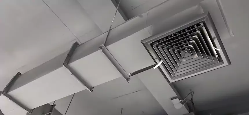 Our Pest Removal From Ducts Services in Gulfport, MS