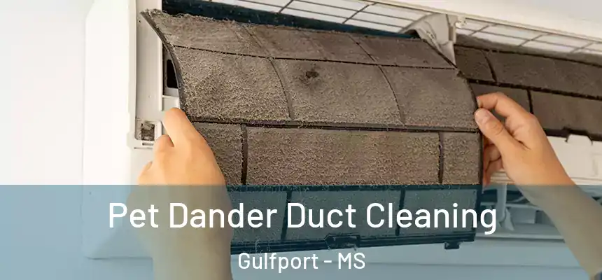 Pet Dander Duct Cleaning Gulfport - MS