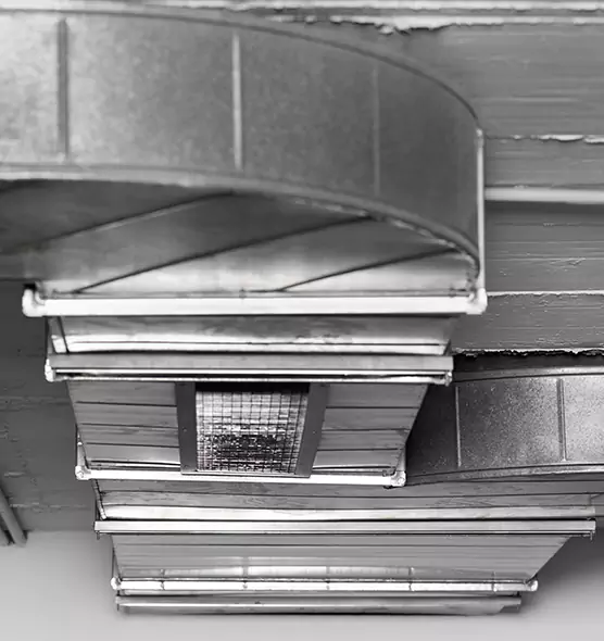 Professional Air Duct Pet Hair Removal in Gulfport, MS