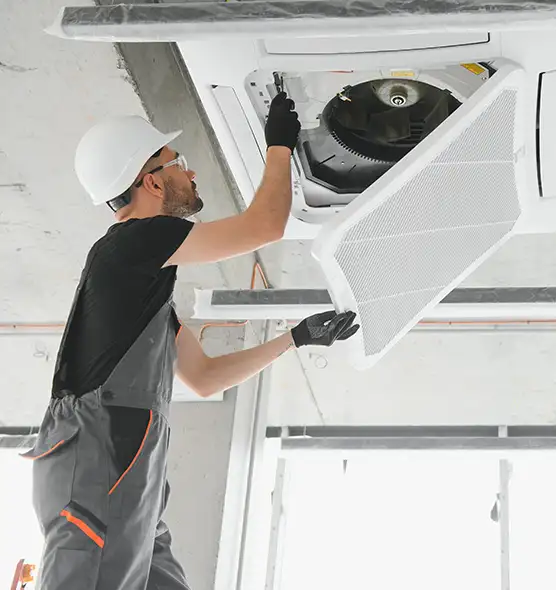 About Air Duct Rodent Removal in Gulfport, MS