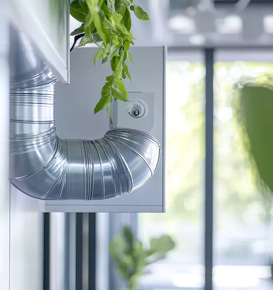 Professional Eco-Safe Dryer Vent Cleaning in Gulfport, MS