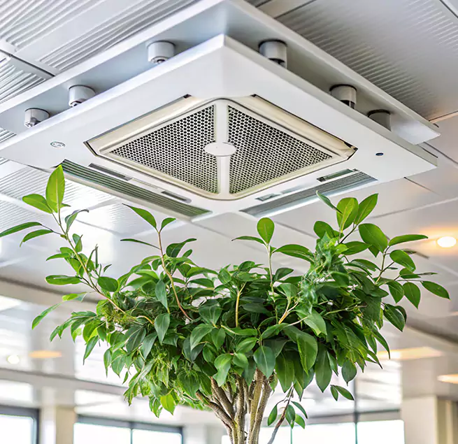 Why Homeowners & Businesses Trust Us in Gulfport, MS?