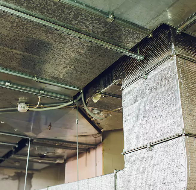 Why Homeowners & Businesses Trust Us in Gulfport, MS?